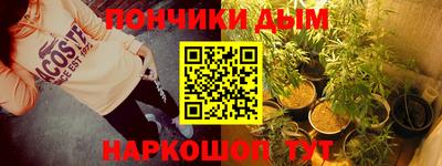 индика Заводоуковск