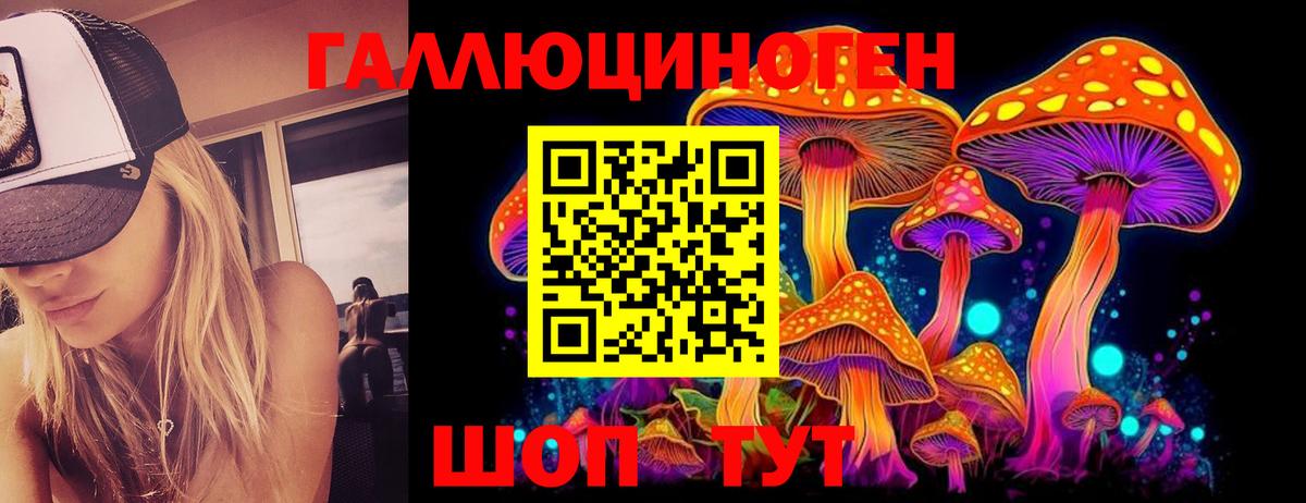 Галлюциногенные грибы Cubensis Дивногорск
