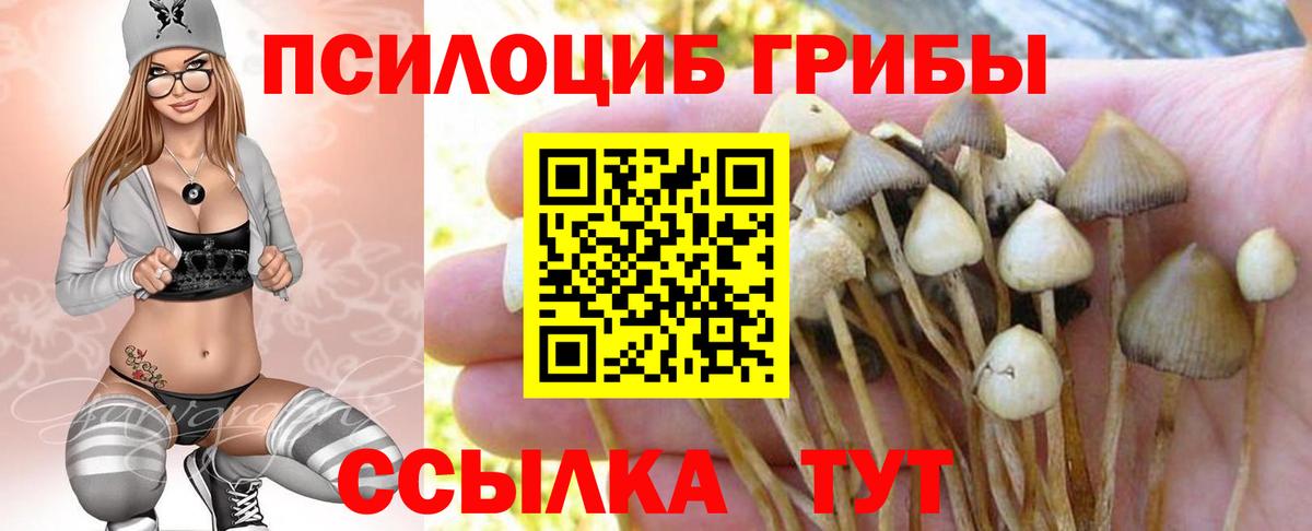 Псилоцибиновые грибы GOLDEN TEACHER  Вход с VPN  Дивногорск 
